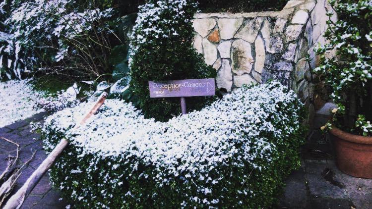 Agriturismo Terre Delle Monache ポンテカニャーノ エクステリア 写真