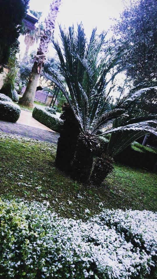Agriturismo Terre Delle Monache ポンテカニャーノ エクステリア 写真